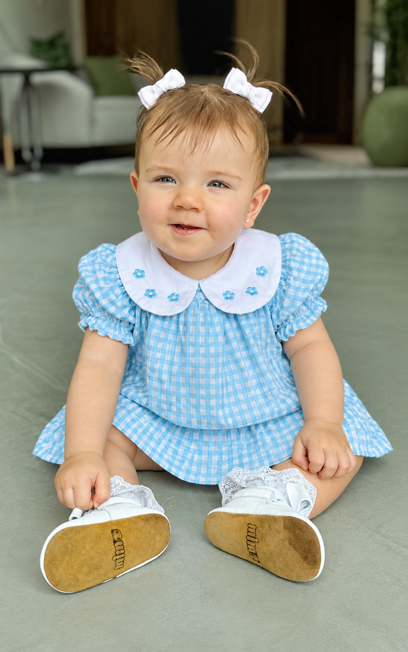 Vestido Xadrez Azul Gola Princesa com Bordado